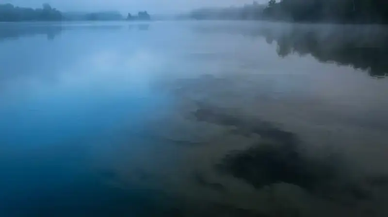 Soñar con agua: significado psicológico y simbólico. The Zodiac Lab